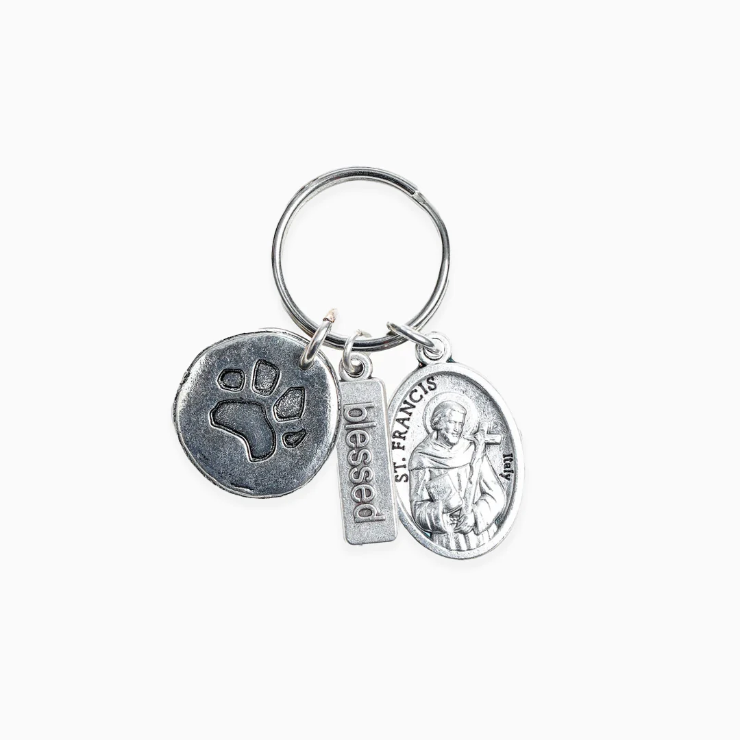 Pet Blessings Bracelet & Tag Set – Faith & Love Gift - Blessed Bands